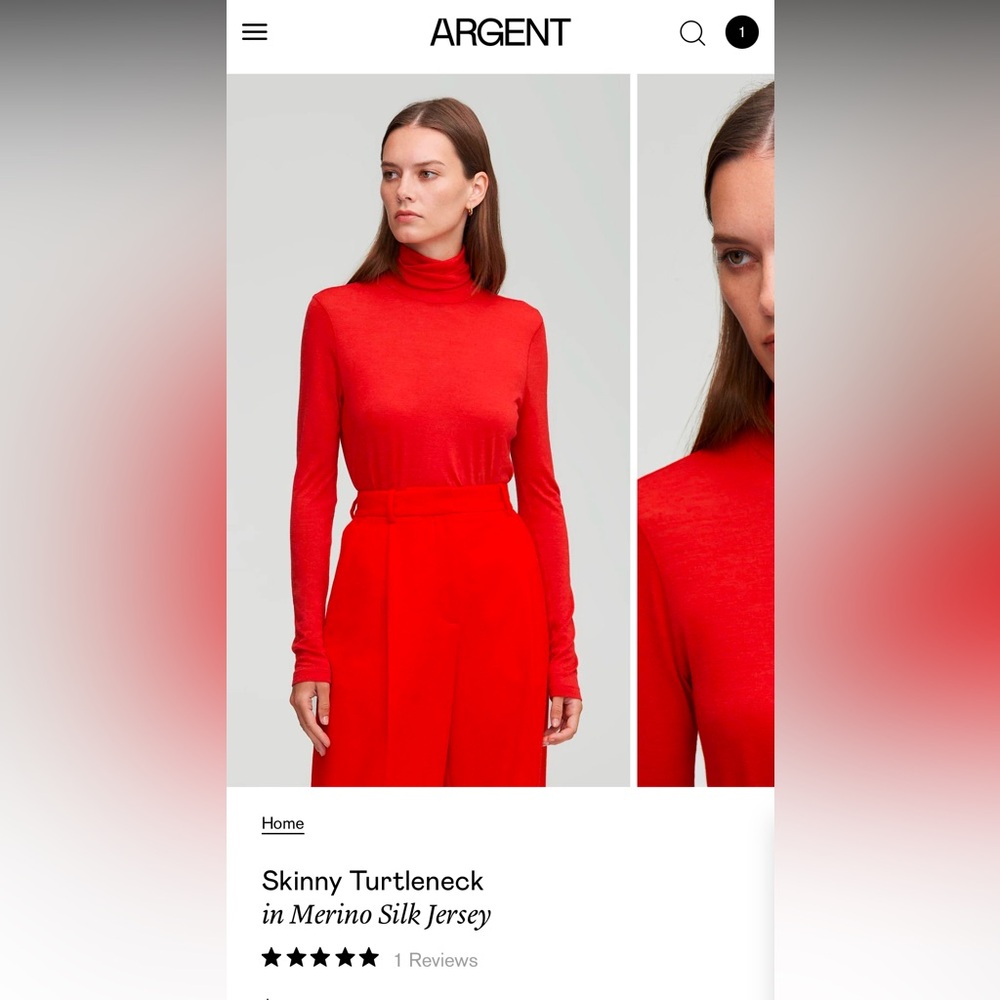 NWT Argent Skinny Turtleneck in Merino Silk Jersey